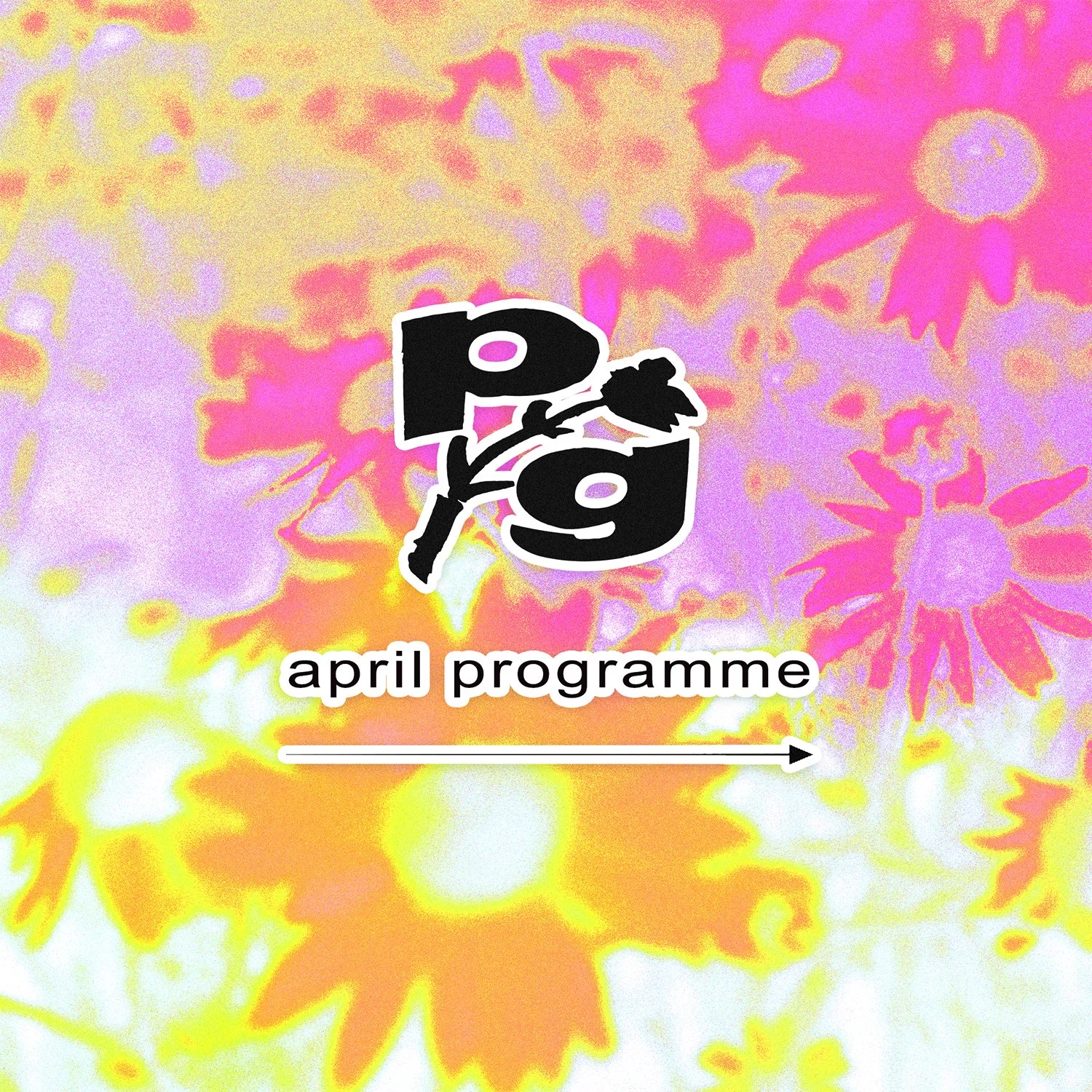 (未使用･未開封品)　Symphony 2 / Partita / Walk in Paradise Garden [DVD] [Import] gsx453j Upcoming Events — Paradise Garden